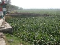 उच्चतम न्यायालय के आदेशों को दरकिनार कर तालाबों पर हो रहा है अतिक्रमण | New India Times