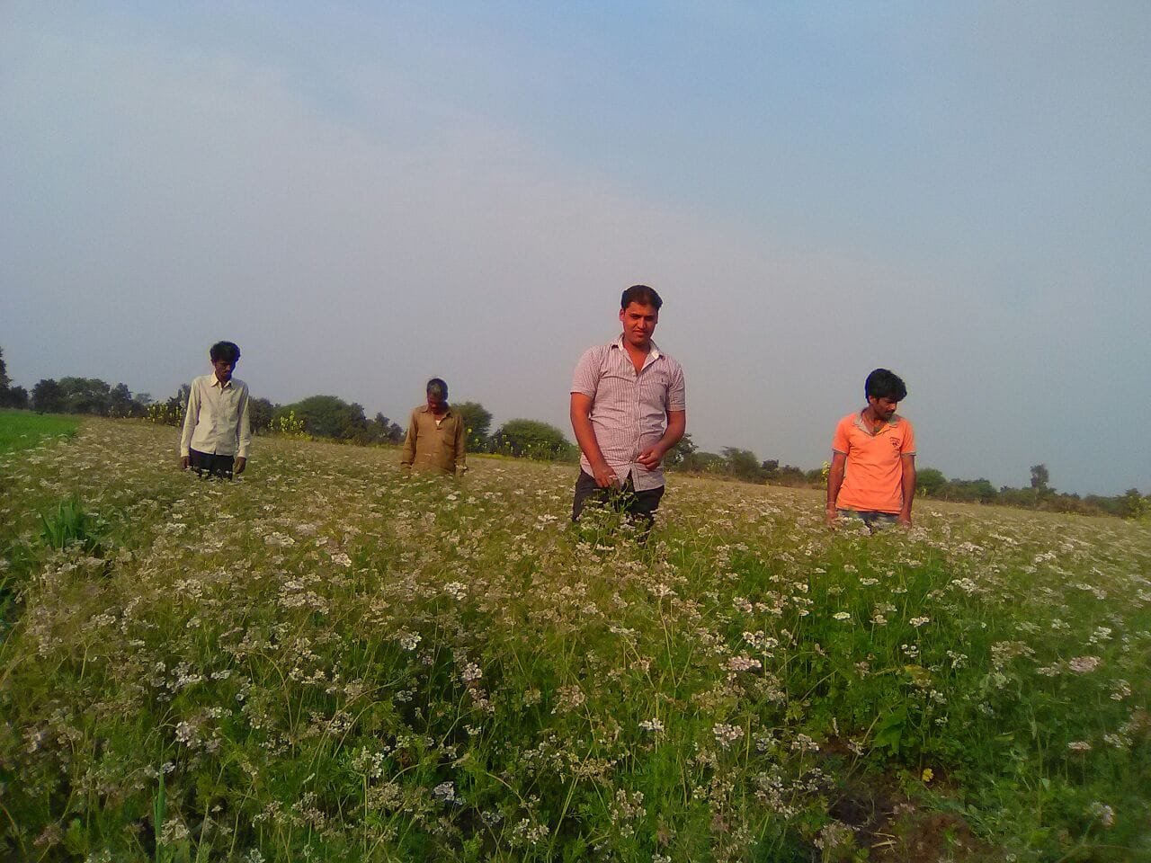 मौसम की कहर से किसानों की फसलें हुईं बर्बाद, सरकार की ओर आस की नजर से देख रहे हैं किसान | New India Times