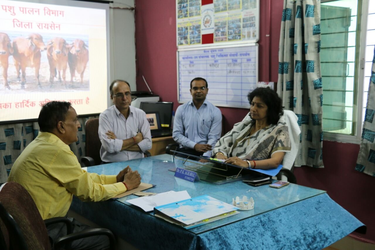 जिला पशु कल्याण समिति की बैठक आयोजित, कलेक्टर ने दिए कई अहम निर्देश | New India Times