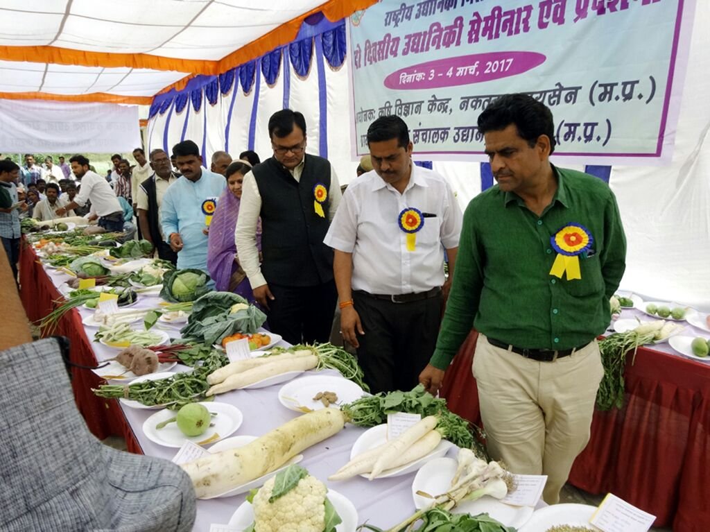 रायसेन जिला में दो दिवसीय कृषक सेमीनार एवं प्रदर्शनी का शुभारम्भ | New India Times