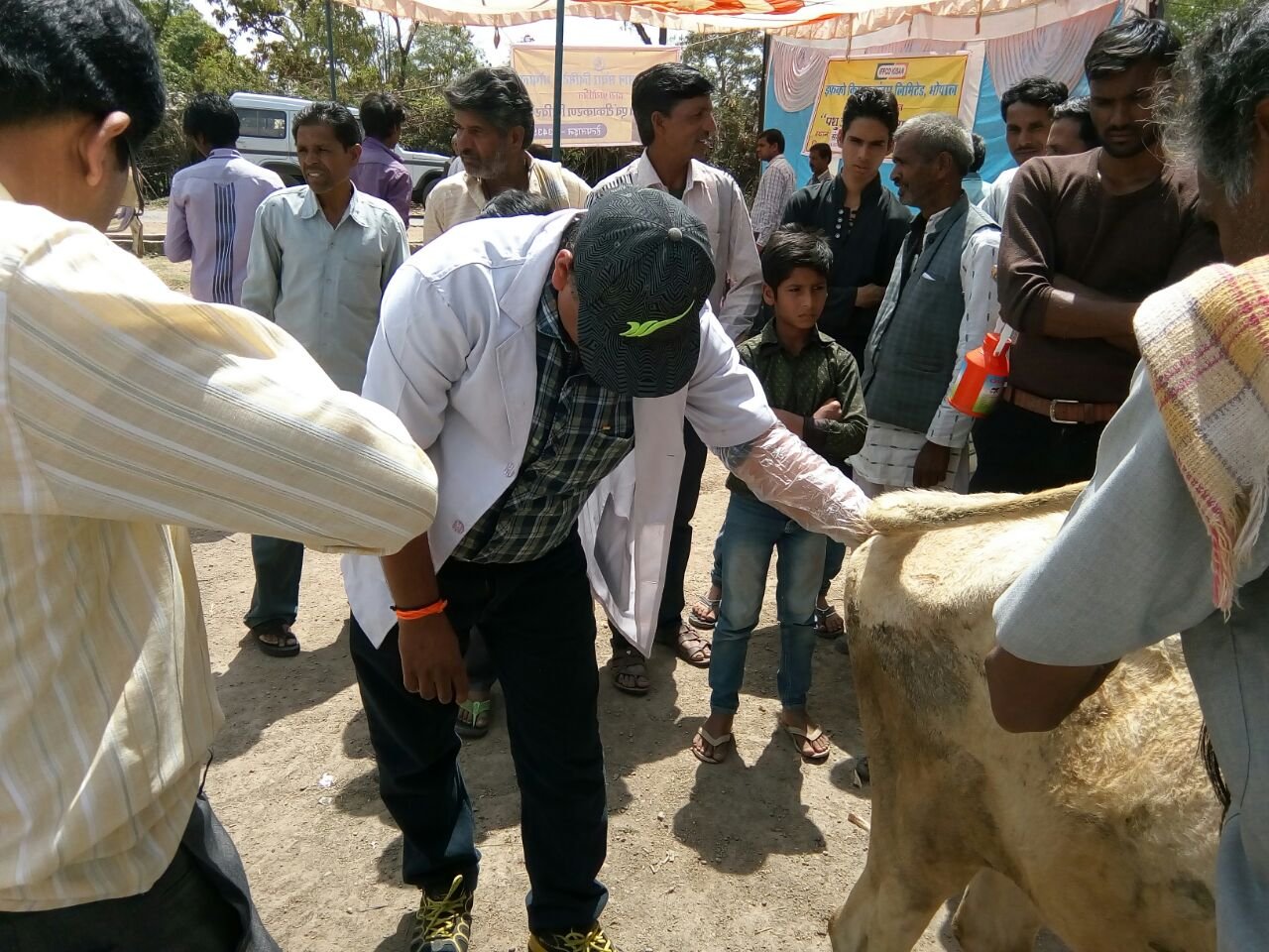 रायसेन जिले में हुआ निःशुल्क पशु चिकित्सा शिविर का आयोजन | New India Times