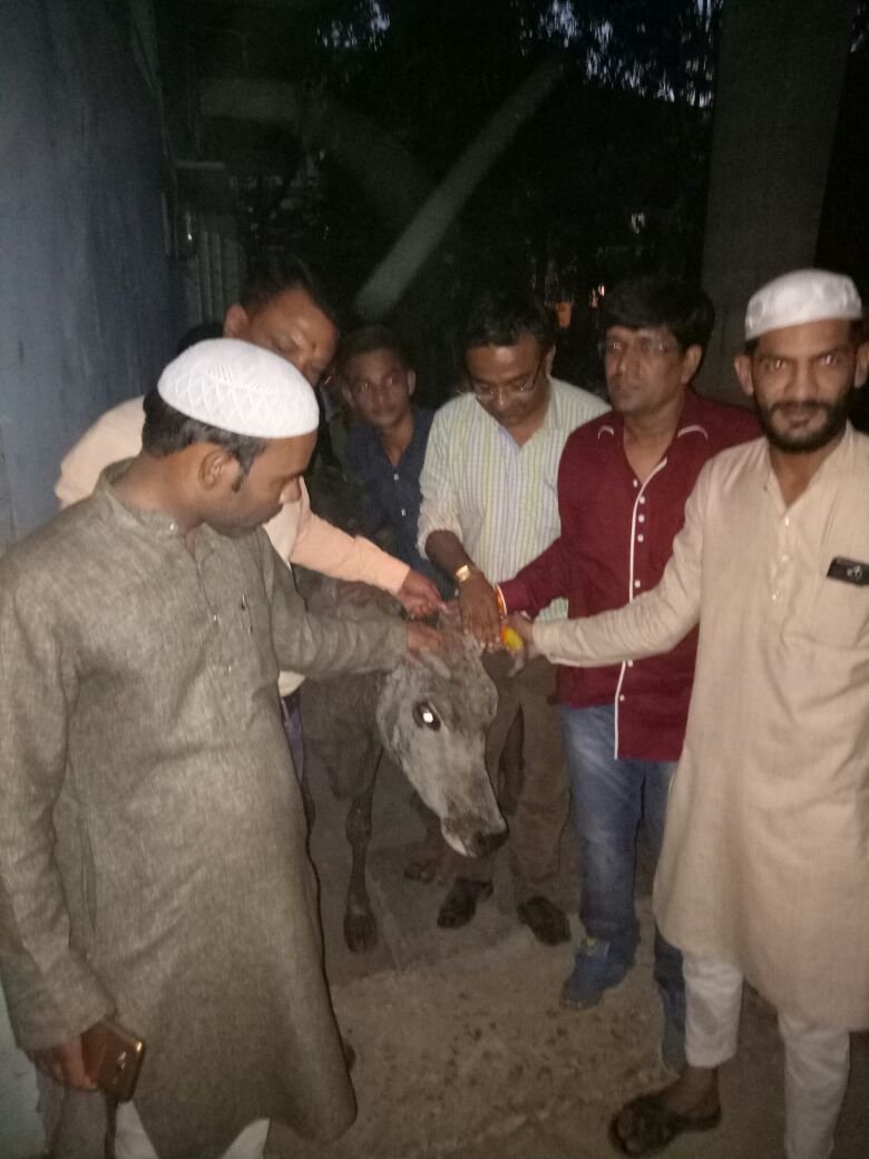 "न हिंदू बुरा है न मुसलमान बुरा है, जिसका किरदार बुरा हो वह इन्सान बुरा है"; नाले में बेसुध पड़ी हुई गाय को 'अमन के सिपाहियों' ने तीन घंटों की कडी मशक्कत के बाद सुरक्षित बाहर निकाला | New India Times