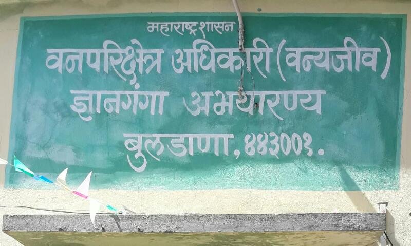 बुलडाणा में आक्रमक भालुओं पर शुरू हो रही है ‘रिसर्च’, सालभर चलेगा संशोधन, अमेरिका से भी आएंगे विशेषज्ञ | New India Times