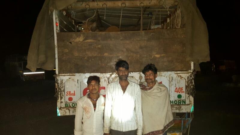 मुंबई-आगरा रोड पर 18 बैल के साथ तीन गोवंश तस्कर ट्रक सहित गिरफ्तार | New India Times