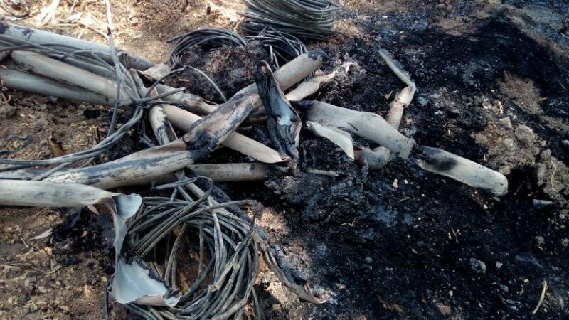 शार्टसर्किट से लगी आग में किसान की फसल और खेती की सामग्री जलकर राख, 3 लाख से अधिक के नुकसान का अनुमान | New India Times