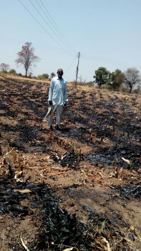 शार्टसर्किट से लगी आग में किसान की फसल और खेती की सामग्री जलकर राख, 3 लाख से अधिक के नुकसान का अनुमान | New India Times