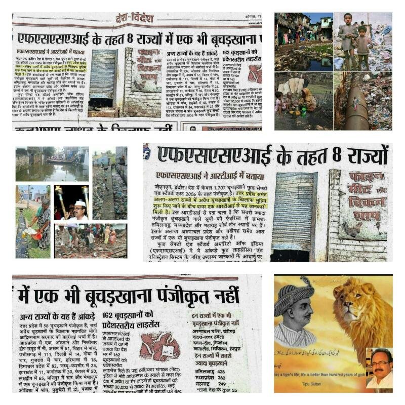 मिसाल सुनी बुजुर्गों से सूरज के डूबने पर लाली बताती है फिर उदगम कल सुबह होगी इंसानियत-उम्मीद के साथ : मो. तारिक   | New India Times