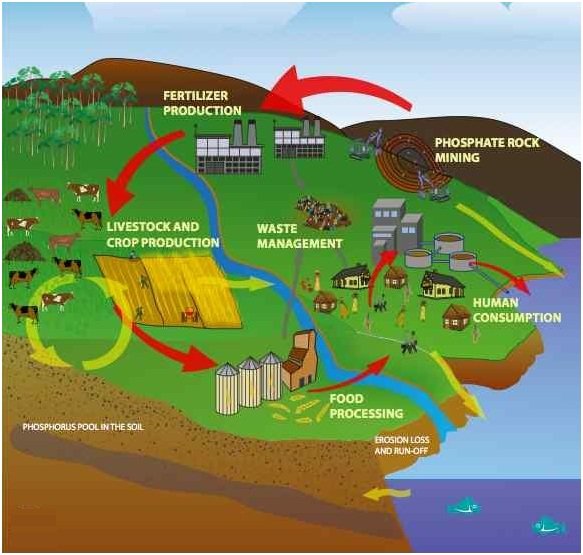 पर्यावरण संरक्षण तथा जागरूकता सभी लोगों की ज़िम्मेदारी : अरशद रज़ा | New India Times