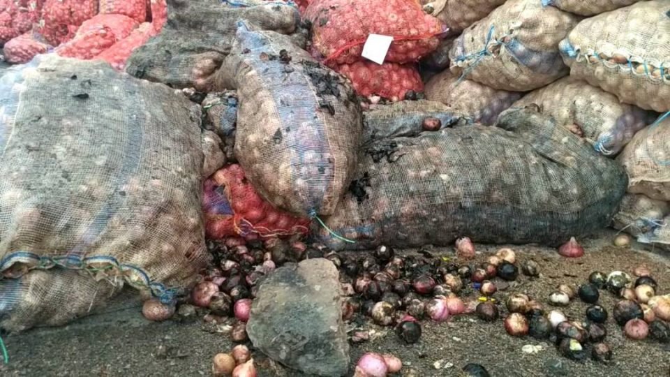 मप्र के हरपालपुर रेलवे स्टेशन पर बारिश में भीग रहा है हजारों टन प्याज, प्याज परिवहन के लिए ठेकेदार के पास नहीं है पर्याप्त वाहन | New India Times