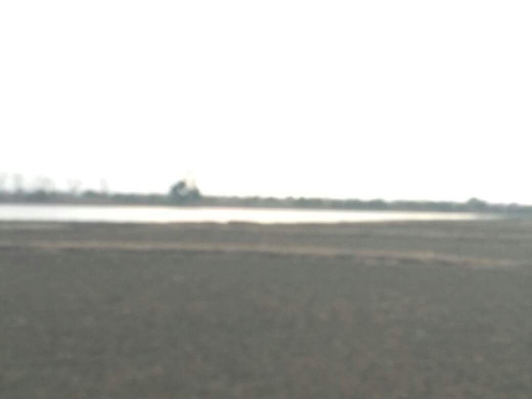 विलुप्त हो चला है घंसौर के दिवारी पंचायत का दिवारी तालाब | New India Times