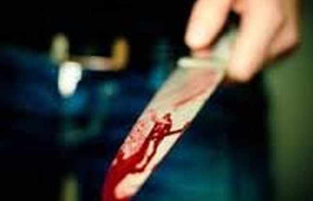 ग्वालियर शहर में चाकूबाजी कर दहशत फैलाने वाले दो सिरफिरे गिरफ्तार | New India Times