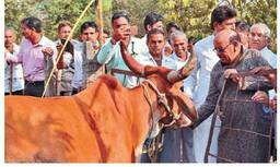 पशुपालन मंत्री अंतर सिंह आर्य ने किया गोकुल महोत्सव के प्रथम चरण का शुभारंभ, वर्ष 2022 तक किसानों की आमदनी दोगुना करने का है लक्ष्य | New India Times