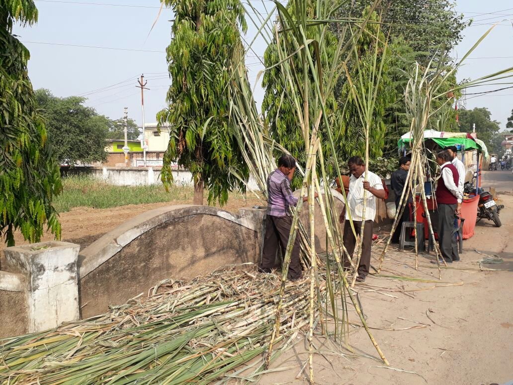 एकादशी पर्व को लेकर खूब हुई गन्ने की खरीदारी | New India Times