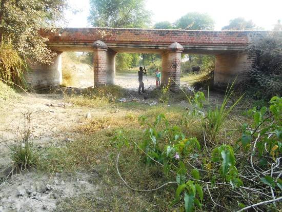सूखी पड़ी नहरों मे टेल तक नहीं रेंग सका पानी | New India Times