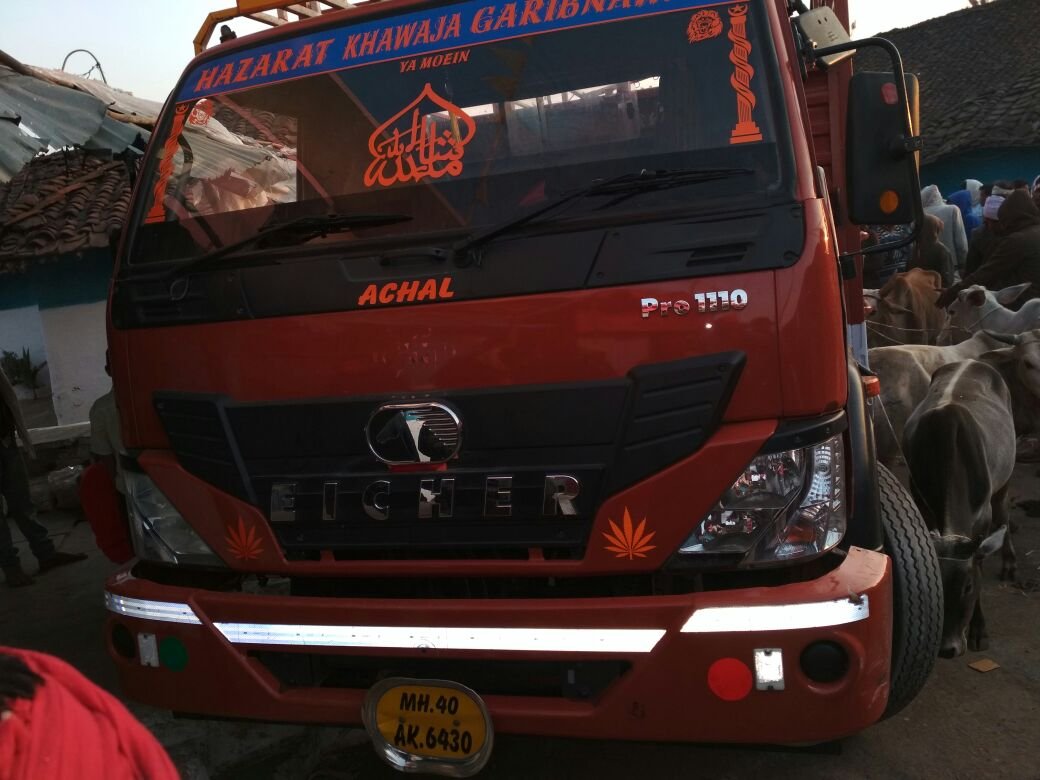 NIT Exclusive: गोवंश से भरा ट्रक जब्त, गोवंश तस्करों ने ग्रामीणों को डराने के लिए लहराए हथियार, पुलिस पर तस्करों से मिलीभगत का आरोप | New India Times