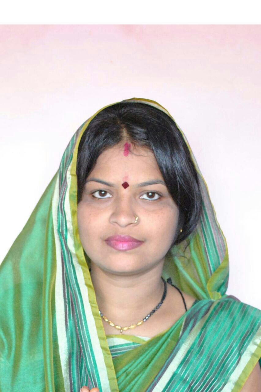 छपारा सरपंच सचिव और उपयंत्री पर मुरम समतलीकरण के नाम पर लाखों रुपए के फर्जीवाड़ा का आरोप | New India Times