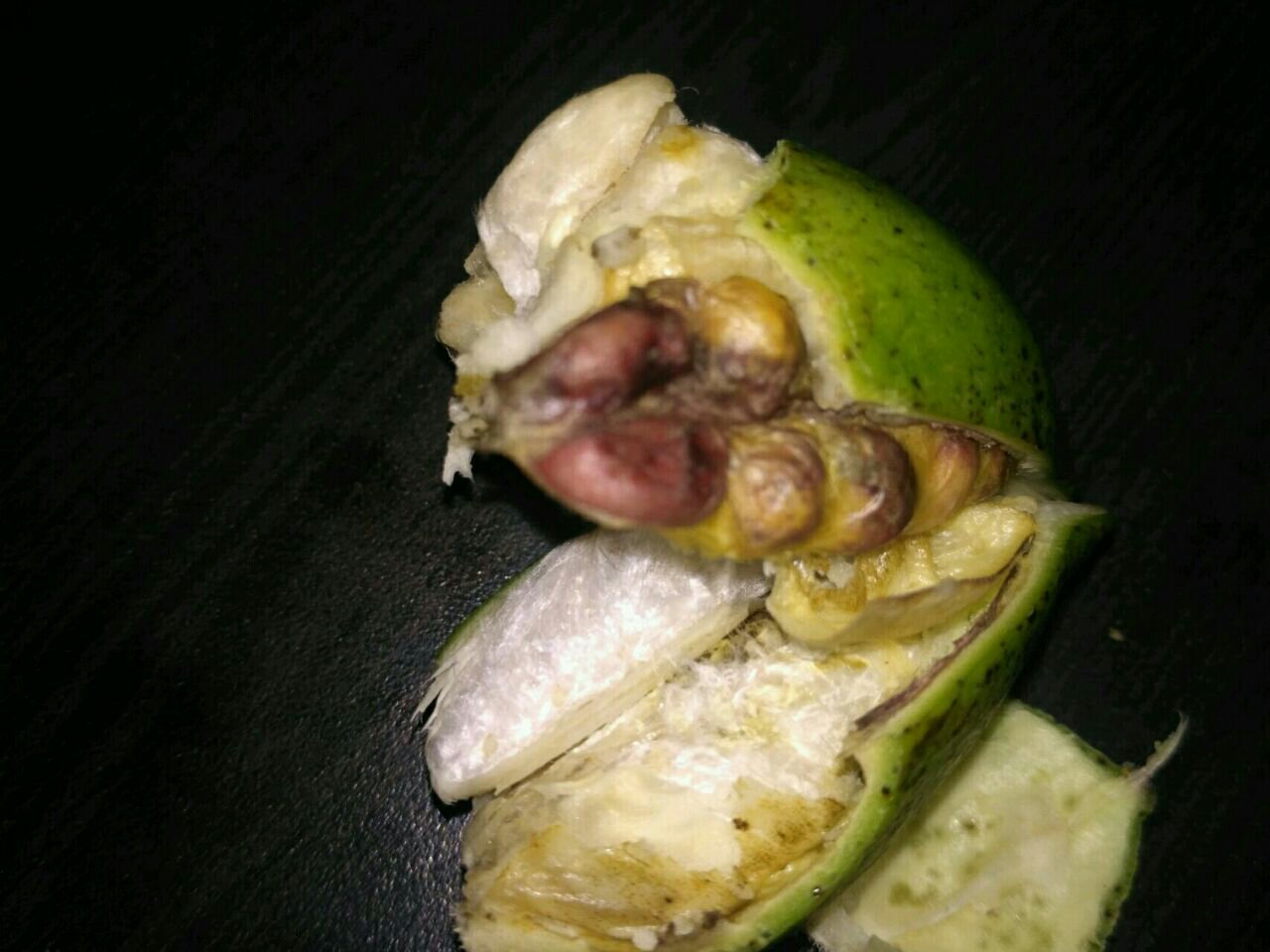 कपास पर इल्लियों के आक्रमण के मामले में सीबीआई जांच करने की शेतकरी वारकरी संगठन ने की मांग | New India Times