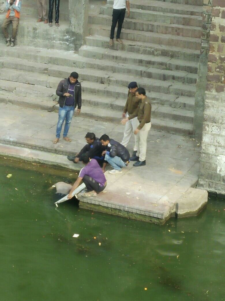 भोपाल के एक तालाब में मिली अज्ञात युवक की लाश | New India Times