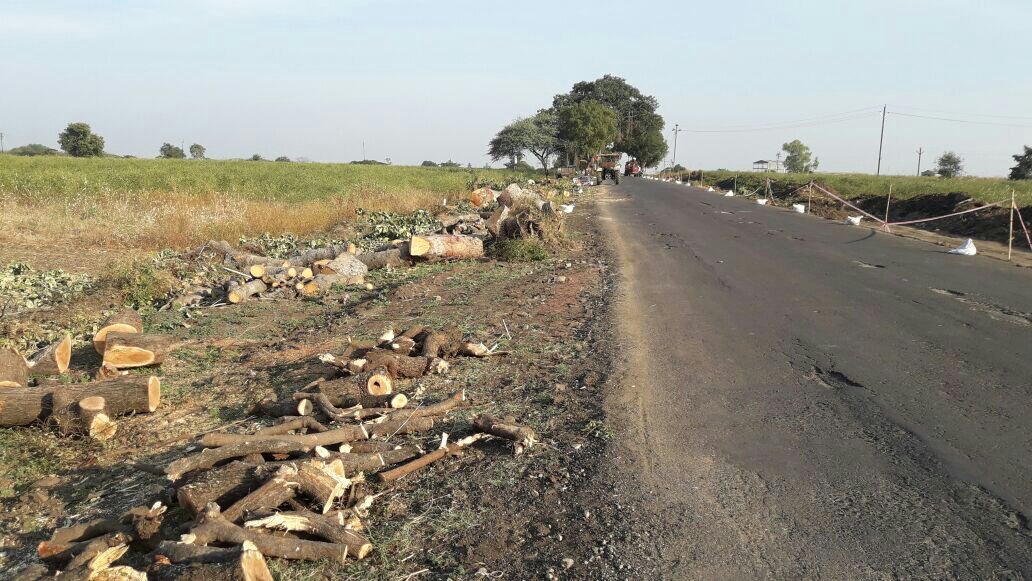 6 हज़ार पेड़ों की कटाई कर बन रहा है चिखली-मेहकर मार्ग, 40 किमी के इस मार्ग का काम हुआ आरंभ | New India Times