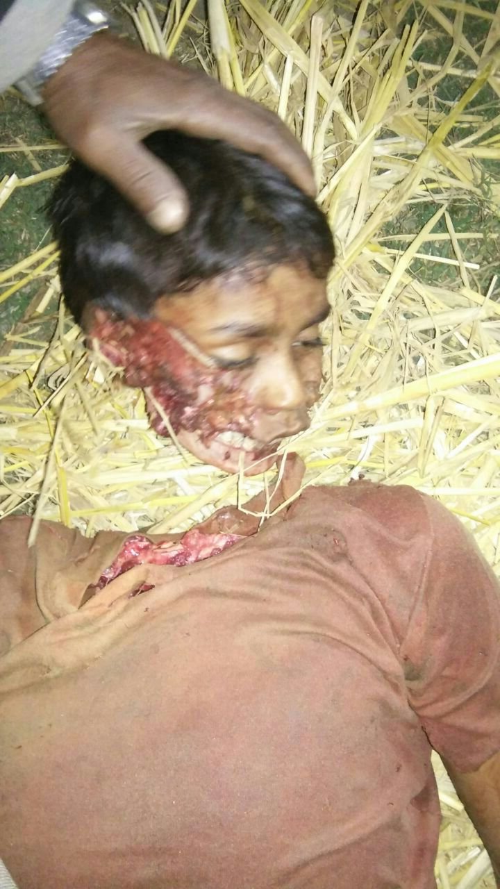 बहराइच जिला में बाघ ने एक बच्चे की ली जान | New India Times