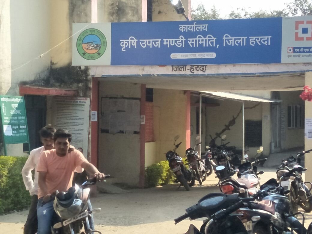 फर्जी दस्तावेज के सहारे 24 वर्षों से एक ही जगह पदस्थ है एक अधिकारी, हरदा कृषि उपज मंडी में पांचवी पास है सहायक उप निरीक्षक  | New India Times