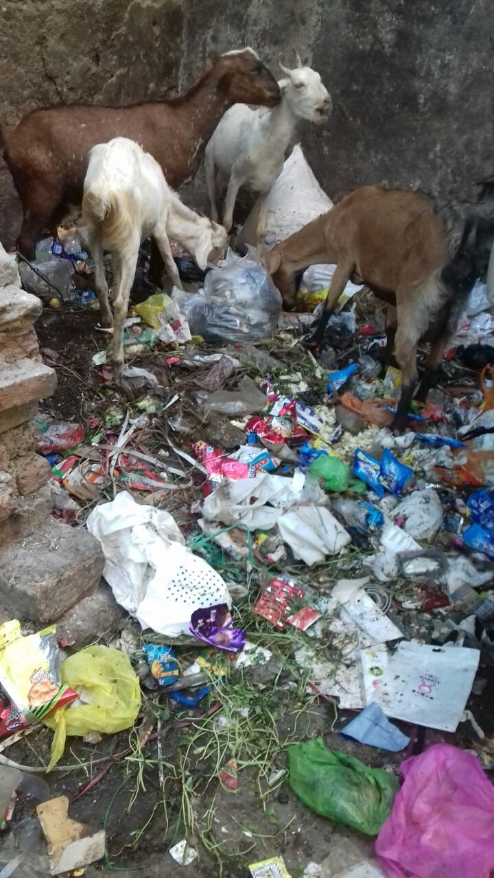 अकोला शहर में है स्वछता का अभाव, जगह-जगह लगा रहता है कचरों का ढेर | New India Times