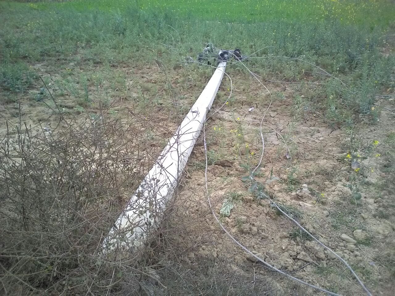 लकड़ी के ठेकेदारों द्वारा पेड़ काटने के दौरान हाईटेंशन बिजली के तीन पोल टूटे, कई गावों की बिजली गुल | New India Times