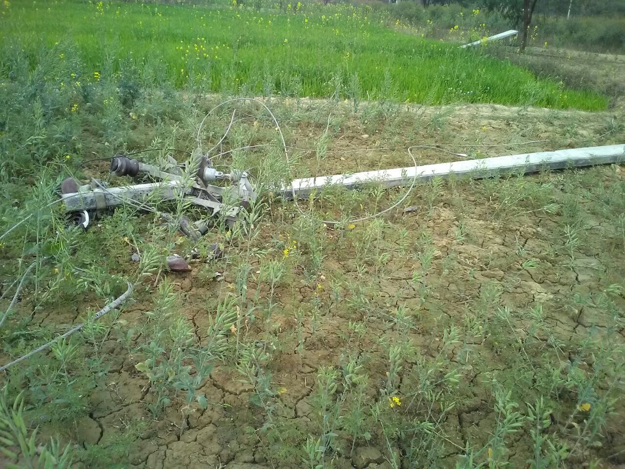 लकड़ी के ठेकेदारों द्वारा पेड़ काटने के दौरान हाईटेंशन बिजली के तीन पोल टूटे, कई गावों की बिजली गुल | New India Times