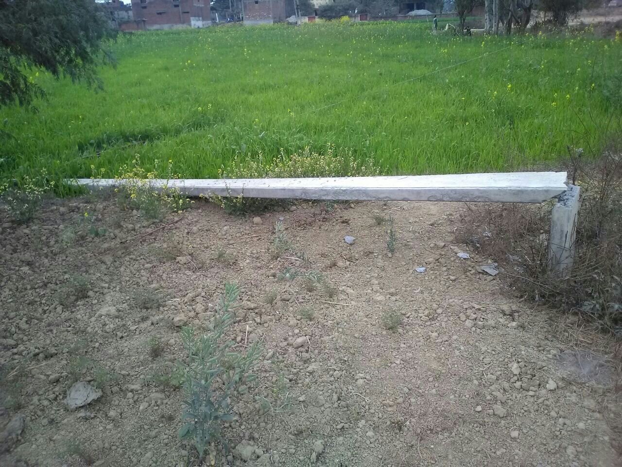 लकड़ी के ठेकेदारों द्वारा पेड़ काटने के दौरान हाईटेंशन बिजली के तीन पोल टूटे, कई गावों की बिजली गुल | New India Times