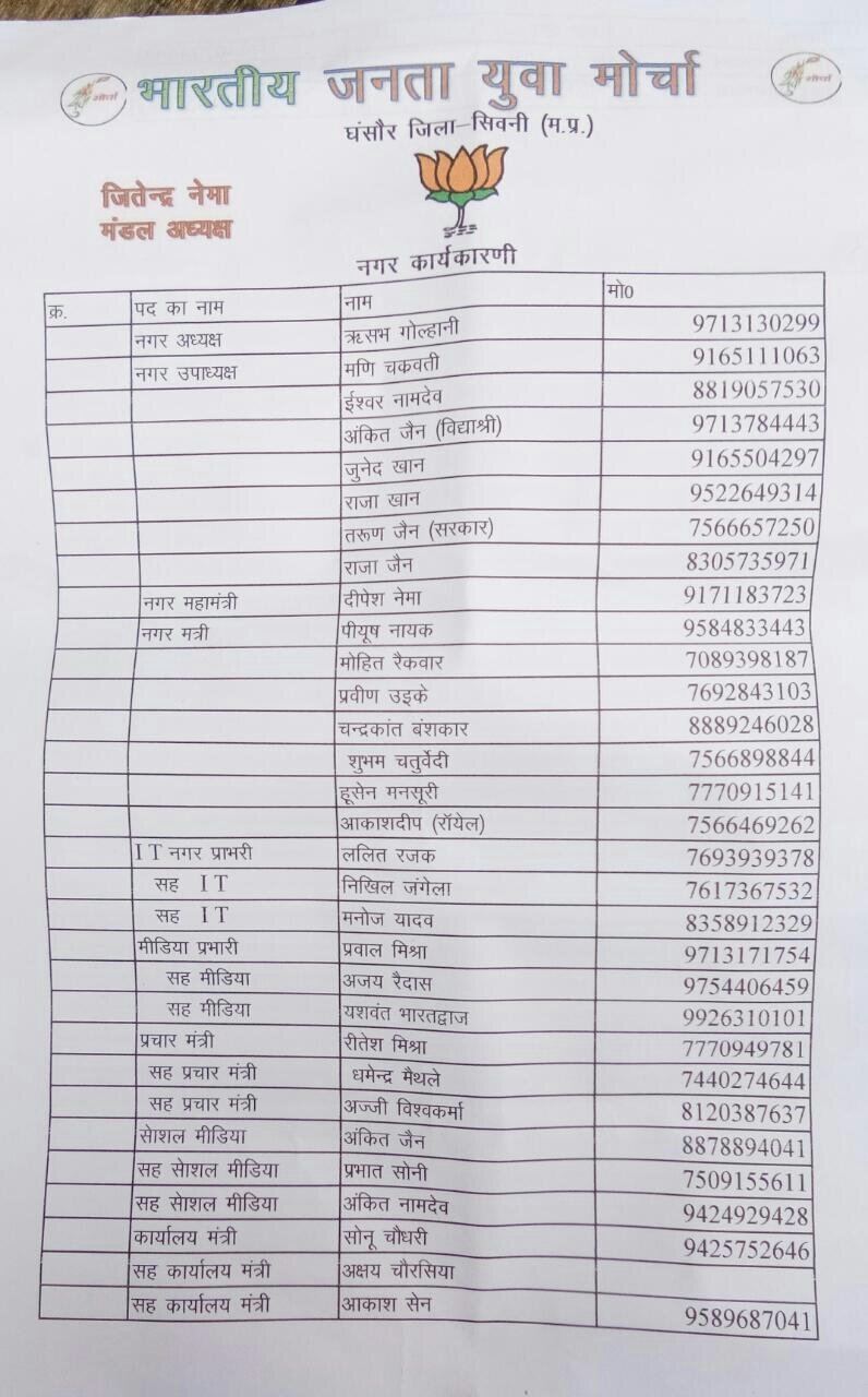 भाजपा युवा मोर्चा घंसौर नगर की कार्यकारिणी घोषित | New India Times