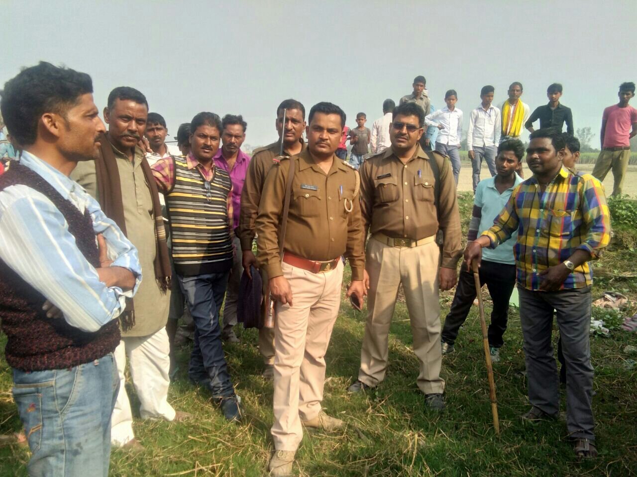 बम्हन पुर ईंट भट्ठे के पास टाइगर ने किया घोडी का शिकार, टाइगर दिखाई दने से इलाके में फैली दहशत | New India Times