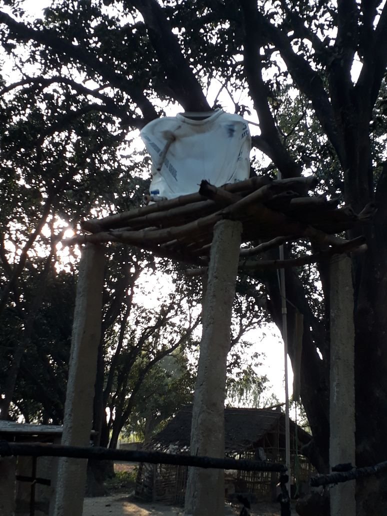 नशे में धुत युवक ने लगाई मुर्गी फार्म में आग | New India Times