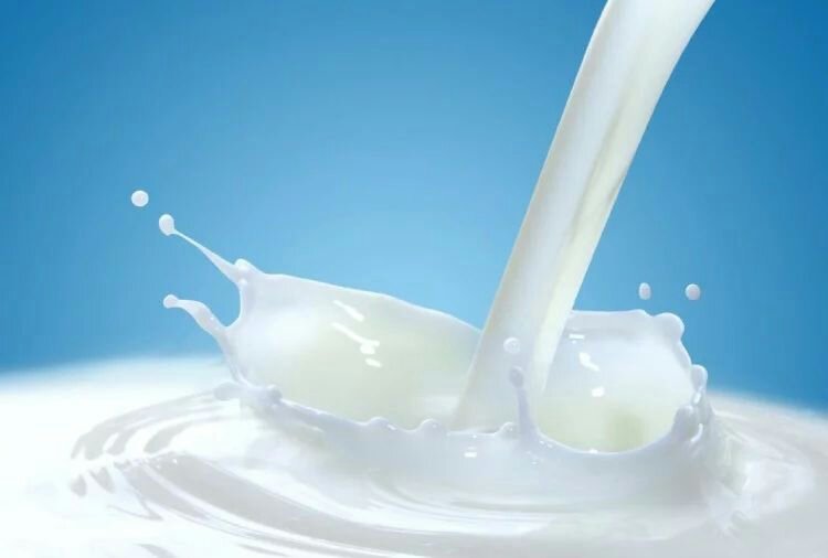 दूध का नमूना एक, लैब से मिली दो अलग रिपोर्ट | New India Times