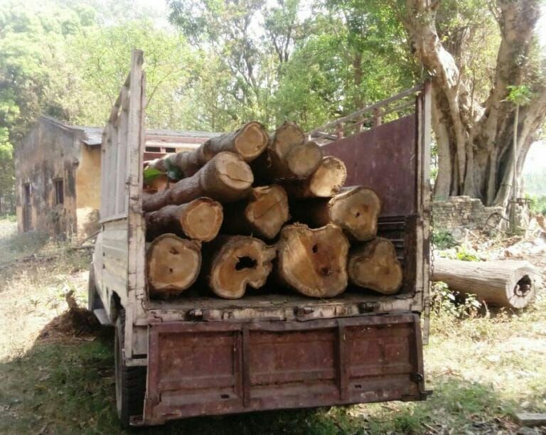 वन विभाग की टीम ने सागौन से लदी पिकअप पकड़ी | New India Times