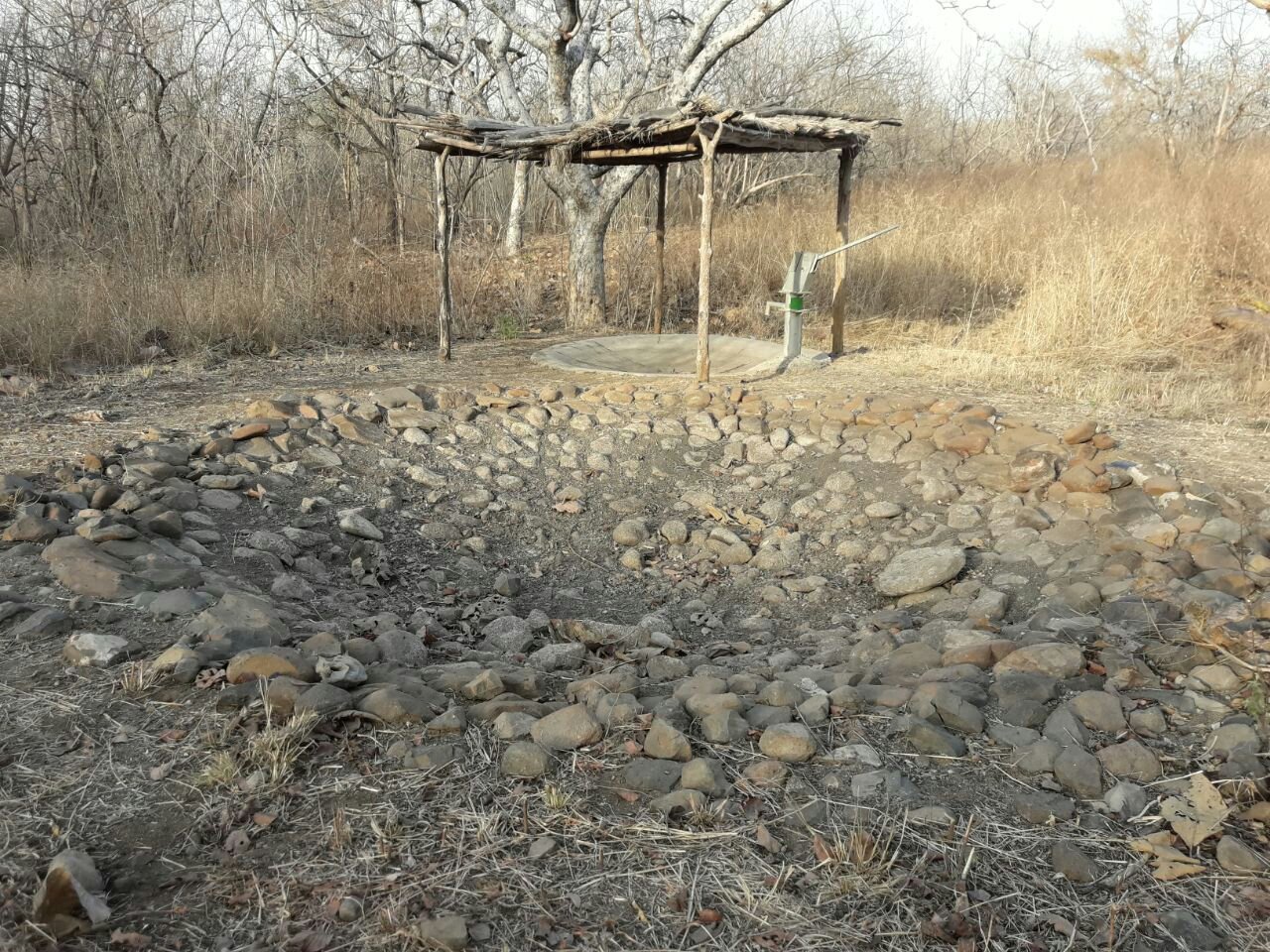 ज्ञानगंगा अभयारण्य में वन्यजीवों को पानी की कमी, बुलढाणा रेंज के वन्यजीव बेहाल | New India Times