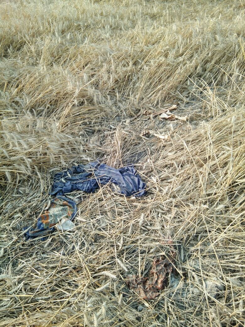 देल्हूपुर में गेहूं के खेत से अज्ञात महिला का कंकाल बरामद | New India Times