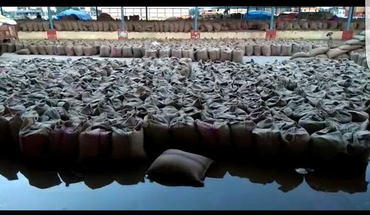 अधिकारियों की लापरवाही से खरीदी केन्द्रों पर खुले में रखा अनाज पानी में भीगा, सरकार को लगी लाखों की चपत | New India Times