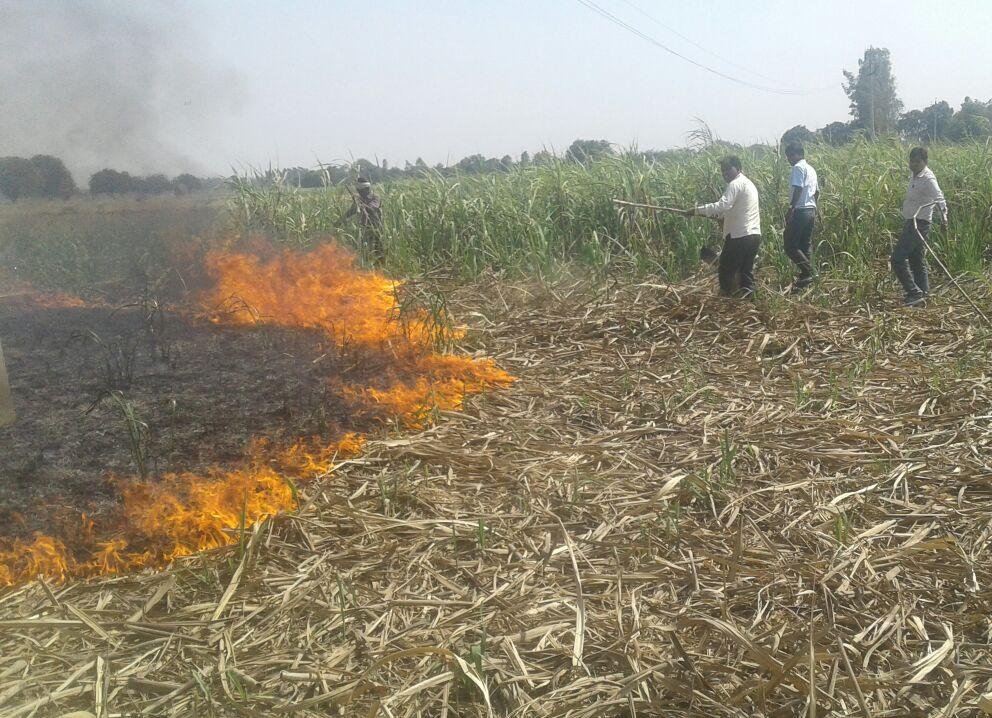 राजस्व टीम ने ड्यूटी के साथ साथ दिखाई इंसानियत, ग्रामीणों ने की जमकर तारीफ | New India Times