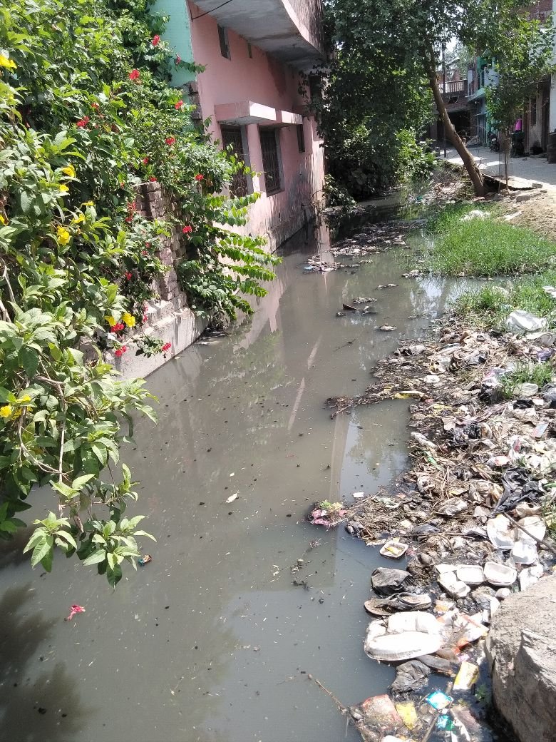 मोहम्मदी नगर में नगरपालिका प्रशासन की खुली पोल, गंदगी से बजबजा रही हैं नालियां, स्वच्छ भारत अभियान को नगरपालिका शासन प्रशासन दिखा रहा है ठेंगा | New India Times