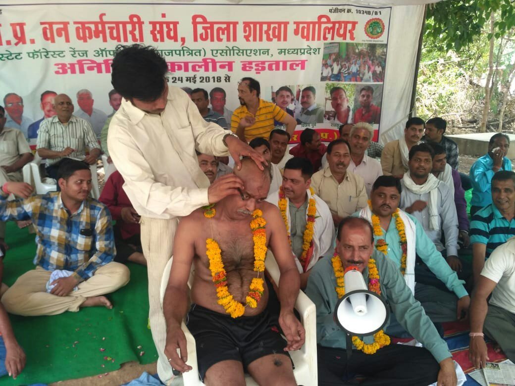 क्रमिक अनशन कर रहे वन कर्मियों ने सिर मुंडवा कर शिवराज सरकार का जताया विरोध | New India Times