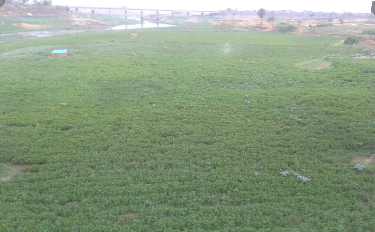 विश्व पर्यावरण दिवस पर भी नहीं जागा सिवनी प्रशासन, बैनगंगा को निगल रहे हैं पट्टा माफिया | New India Times