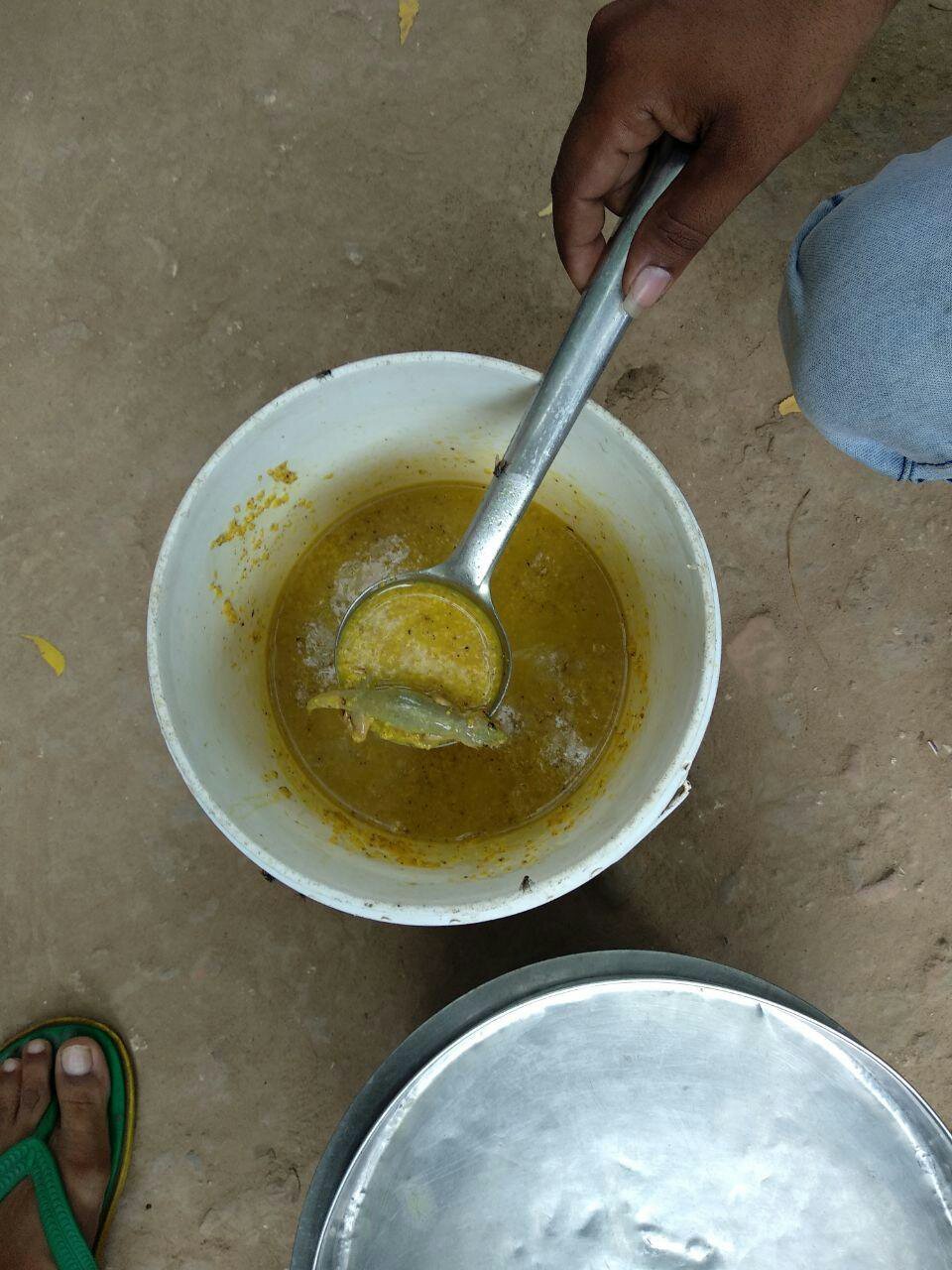 आंगनवाड़ी में बच्चे कर रहे थे खाने की तैयारी तभी दलिया में निकल पड़ी छिपकली, आंगनवाड़ी में मचा हड़कंप | New India Times