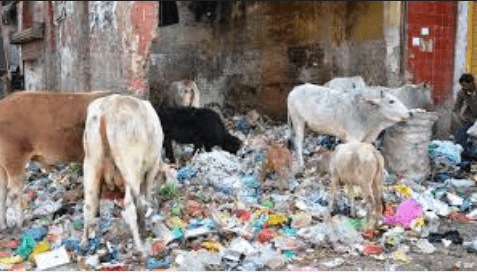 पालीथीन बंद करने के नाम पर सरकार कर रही है नौटंकी | New India Times