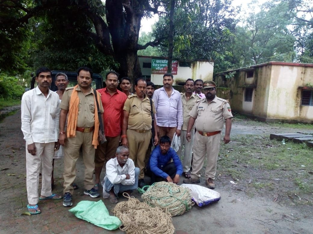 हजारों संख्या में तोतों की तस्करी करते हुए तीन तस्कर गिरफ्तार | New India Times