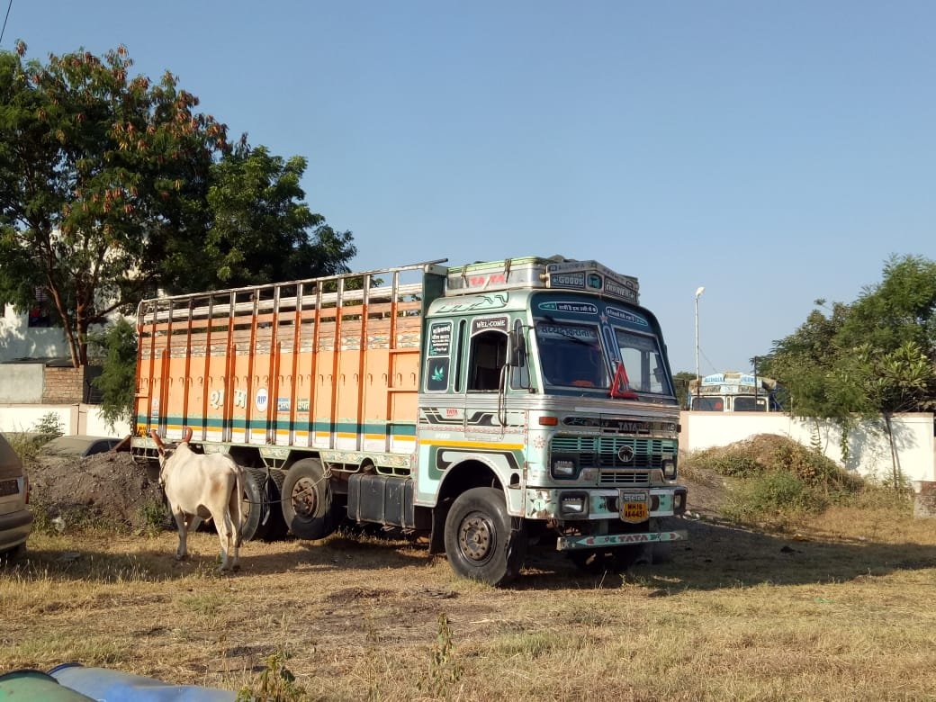 बंदूक के नोक पर मवेशियों से लदे ट्रक को अगवा कर भाग रहे लुटेरे गिरफ्तार | New India Times