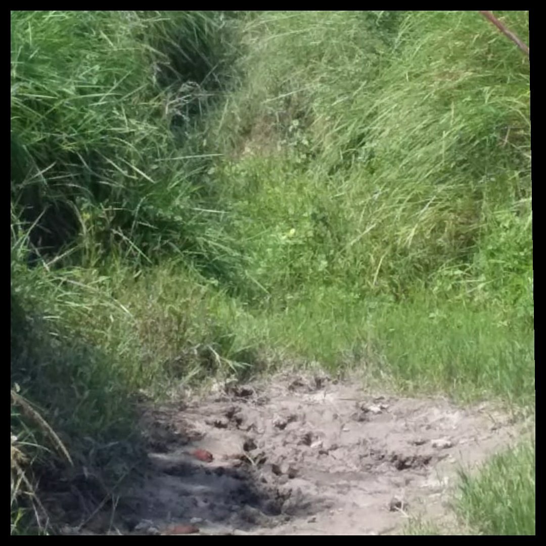 नहर की सफाई ना होने से नहीं मिला किसानों को बरसों से पानी, किसानों के दुगनी फसल का सरकारी दावा हो रहा है हवा हवाई | New India Times