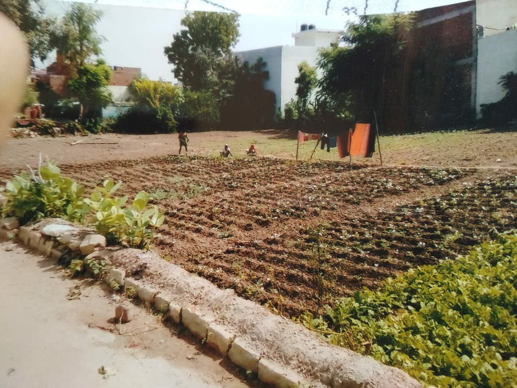 दबंगों के द्वारा सरकारी भूमि पर कब्जा 2 दबंगों के द्वारा सरकारी भूमि पर कब्जा | New India Times