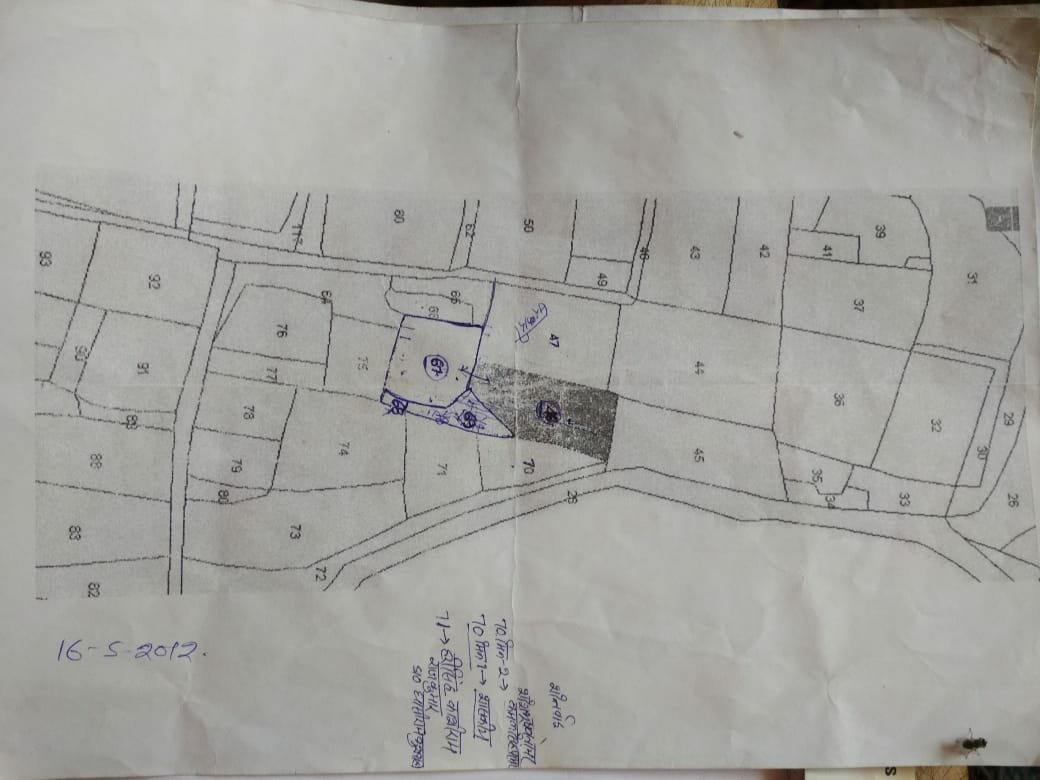 दबंगों के द्वारा सरकारी भूमि पर कब्जा | New India Times