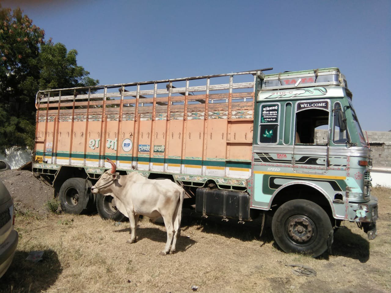 बंदूक के नोक पर मवेशियों से लदे ट्रक को अगवा कर भाग रहे लुटेरे गिरफ्तार | New India Times