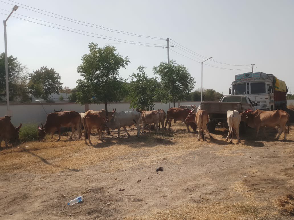 बंदूक की नोंक पर ट्रक डकैती को अंजाम देने वाले 5 आरोपी गिरफ्तार, एक आरोपी फरार, आरोपियों में दो सगे भाई शामिल 3 बंदूक की नोंक पर ट्रक डकैती को अंजाम देने वाले 5 आरोपी गिरफ्तार, एक आरोपी फरार, आरोपियों में दो सगे भाई शामिल | New India Times